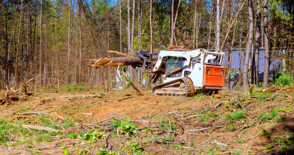 Lot Clearing service by MMP Tree Service