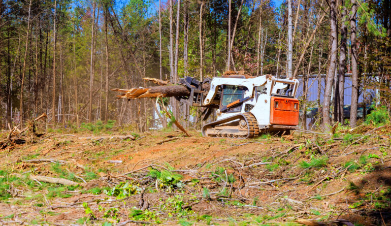 Trees are uprooted when contractor to prepare land for construction