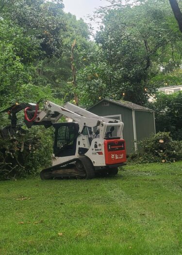 MMP Tree Service LLC tree removal