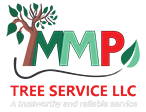 Top Tree Service company in Atlanta - MMP Tree Service LLC