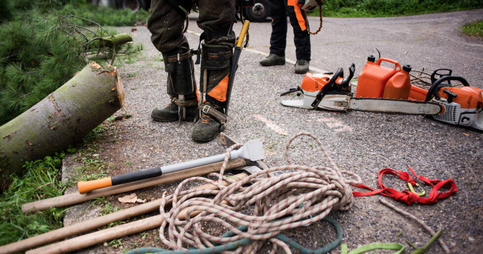 24 Hour Emergency Tree Services