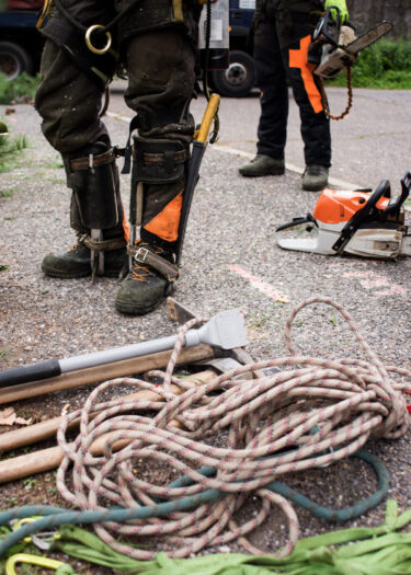 24 Hour Emergency Tree Services