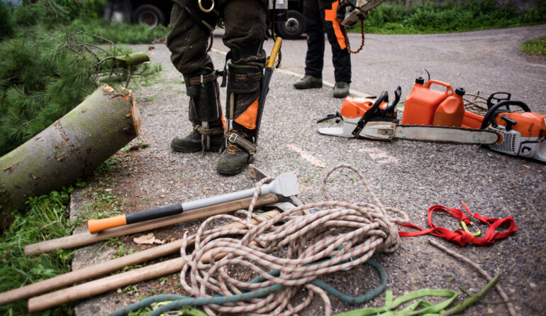 24 Hour Emergency Tree Services